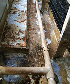 Before wet deck